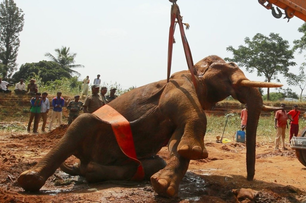 Dung can cau cuu voi ket duoi gieng o An Do hinh anh