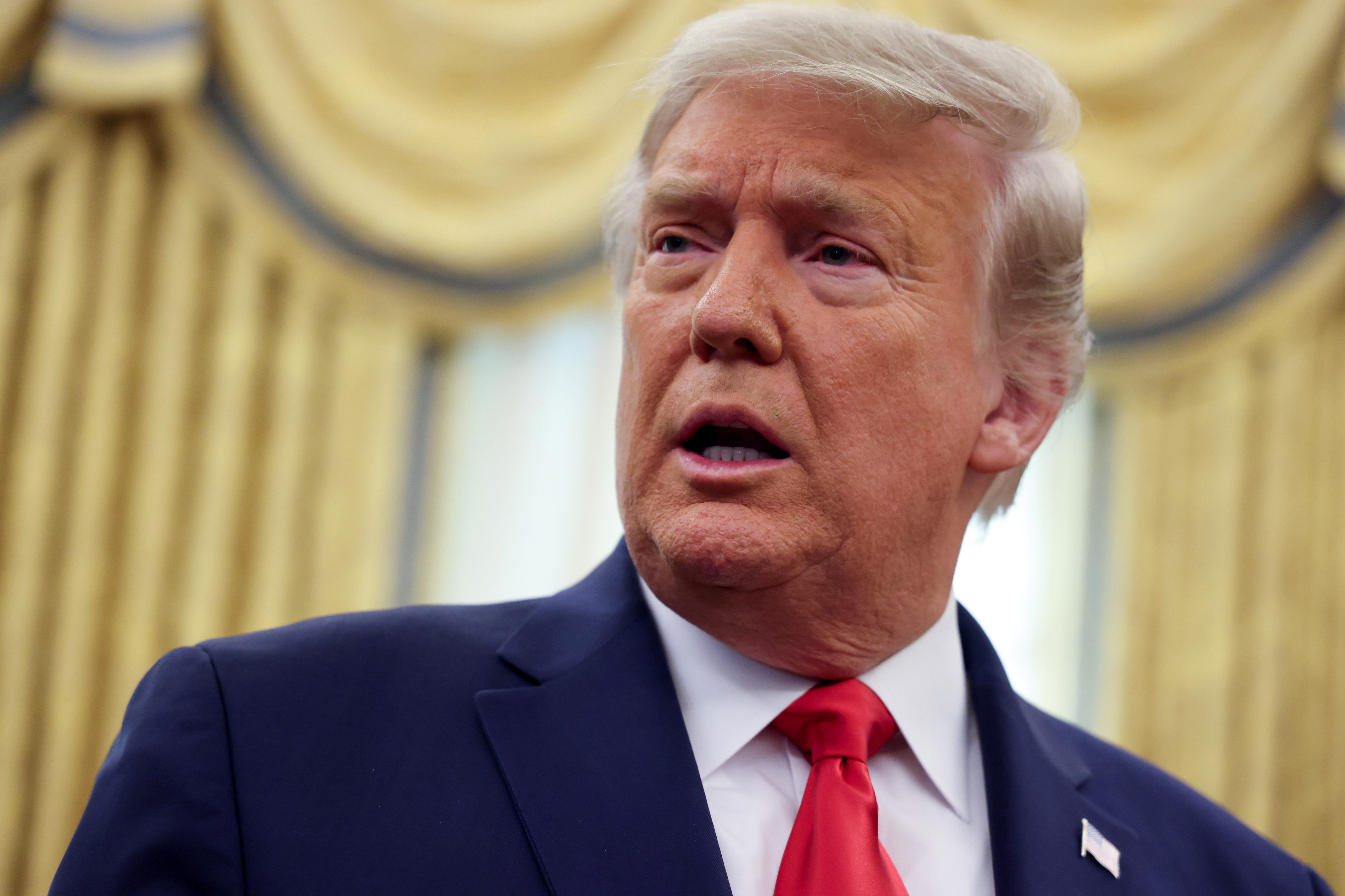 Trump thua kien anh 1