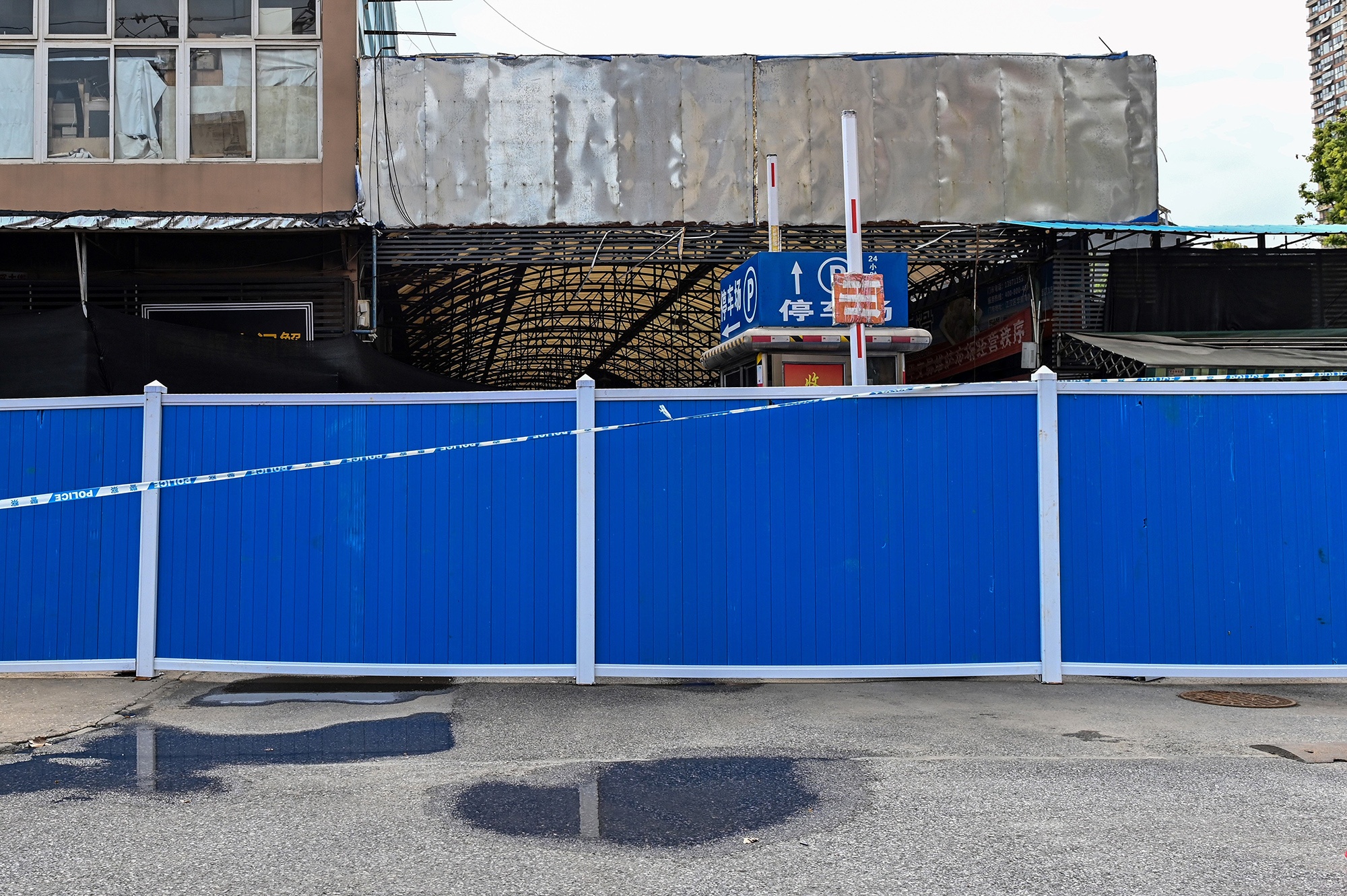 Vu Han het dich, cho hai san van am dam hinh anh