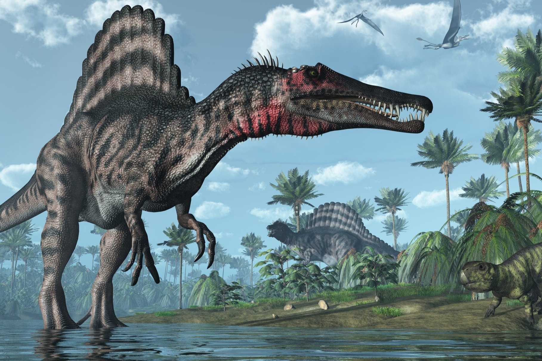 Phat hien moi ve khung long Spinosaurus hinh anh