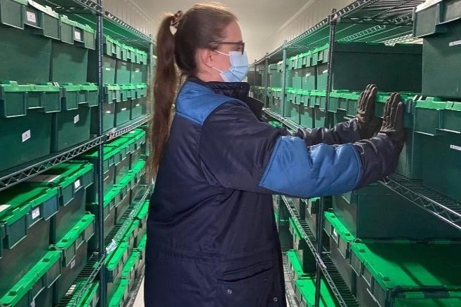 Bien chung virus cua Anh duoc phat hien nhu the nao? hinh anh