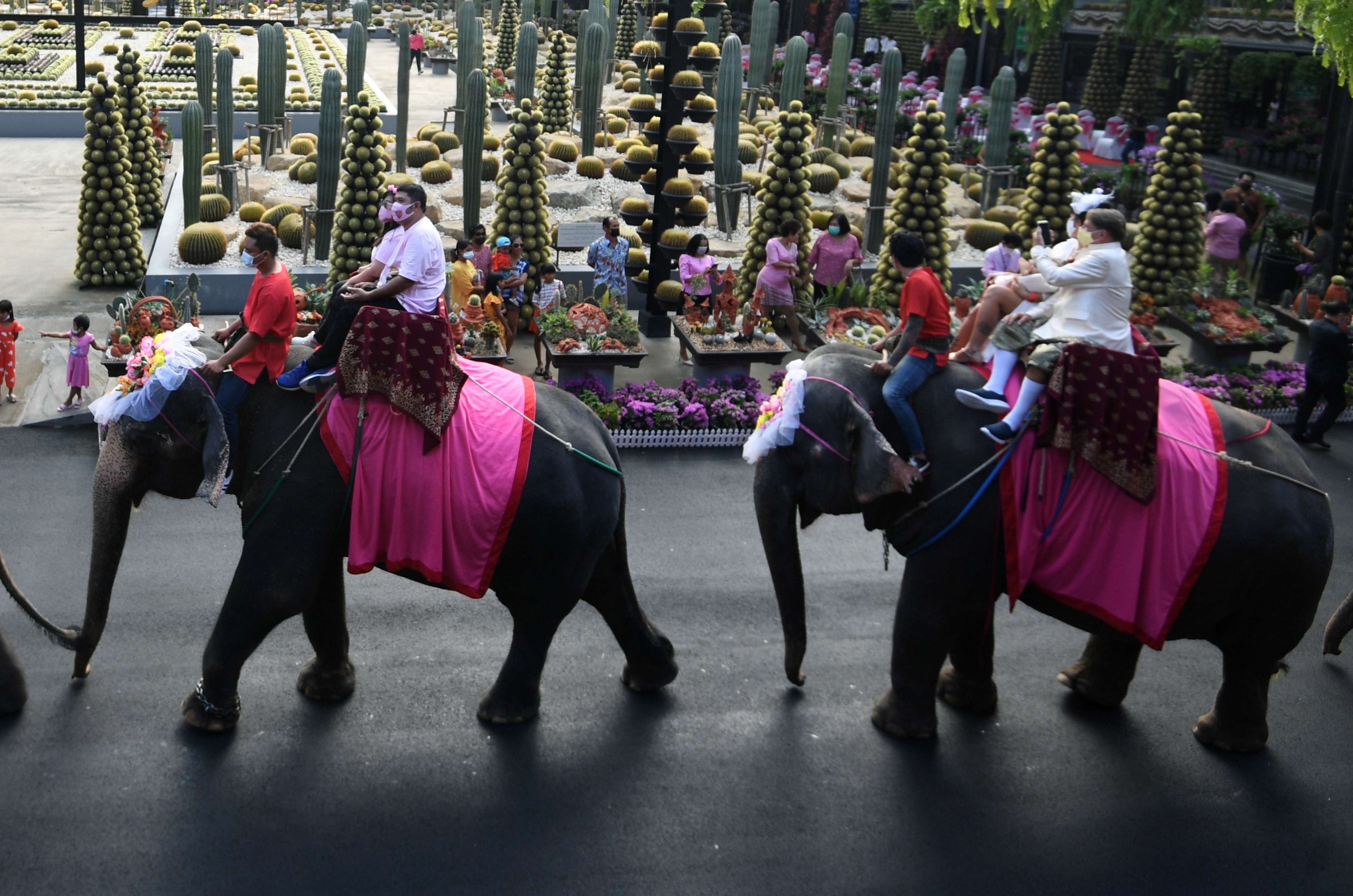 52 cap doi o Thai Lan ket hon tren lung voi hinh anh