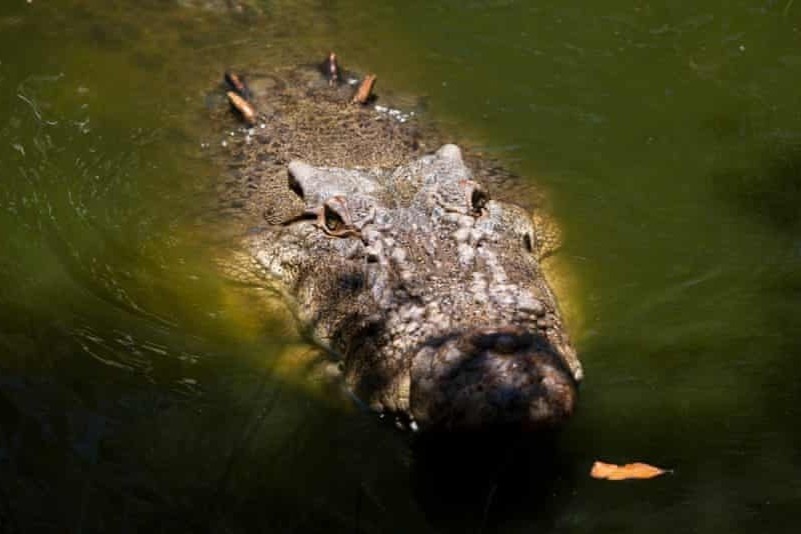 Ca sau bi giet de tim xac nguoi mat tich hinh anh