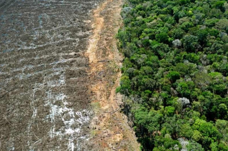 Chi 3% he sinh thai tren the gioi con nguyen ven hinh anh