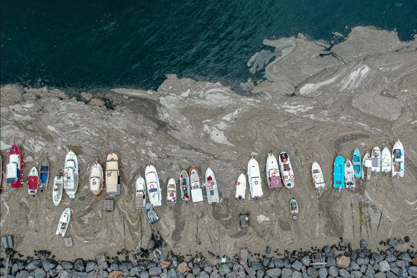 chat nhay bien Tho Nhi Ky anh 2