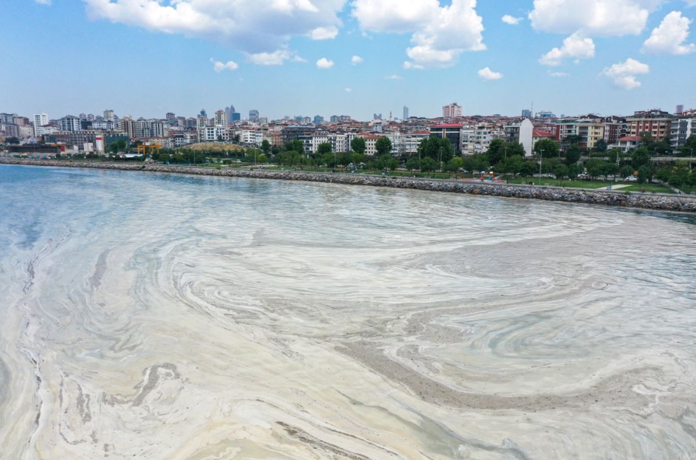 chat nhay bien Tho Nhi Ky anh 3