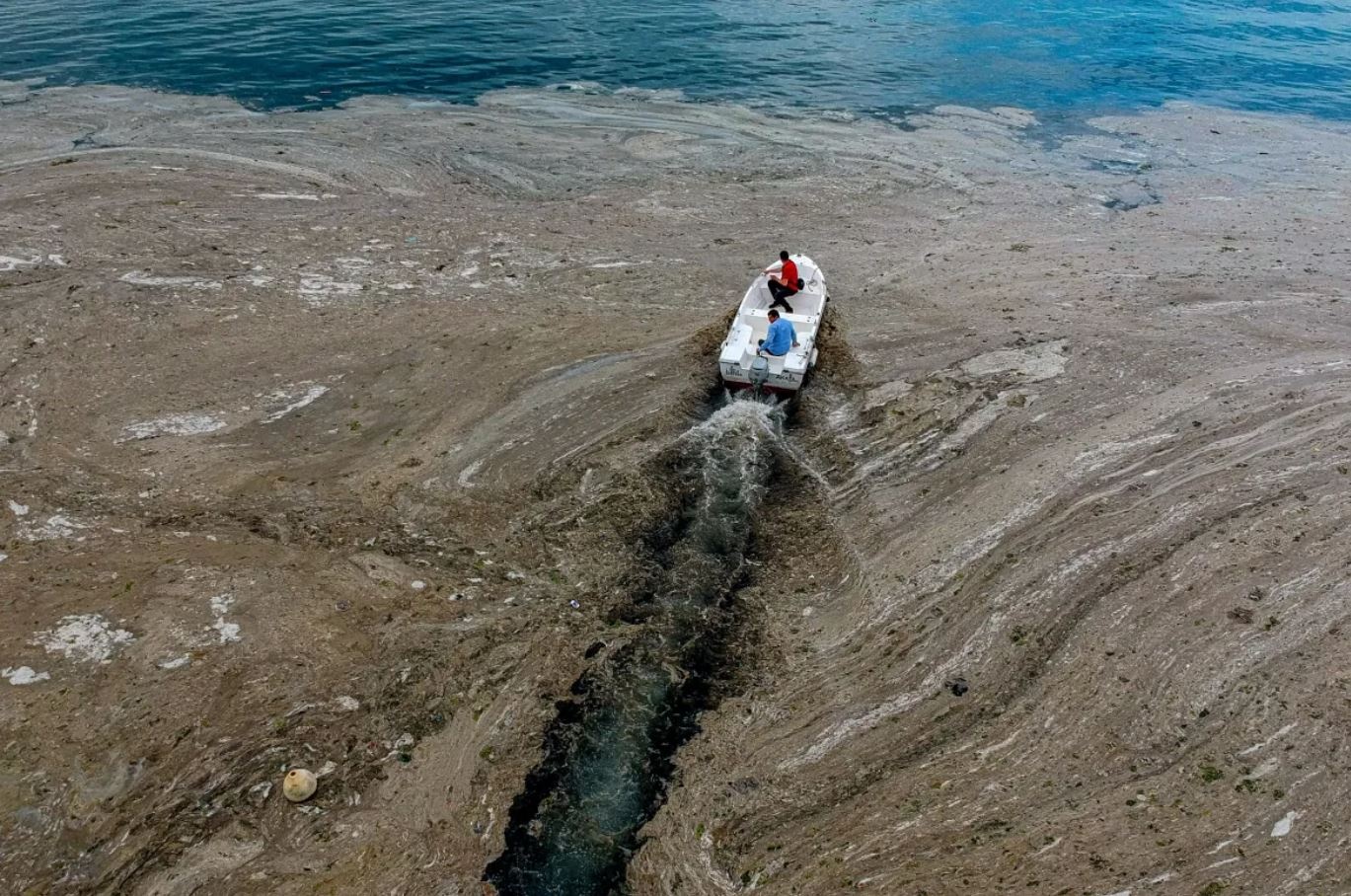 chat nhay bien Tho Nhi Ky anh 5