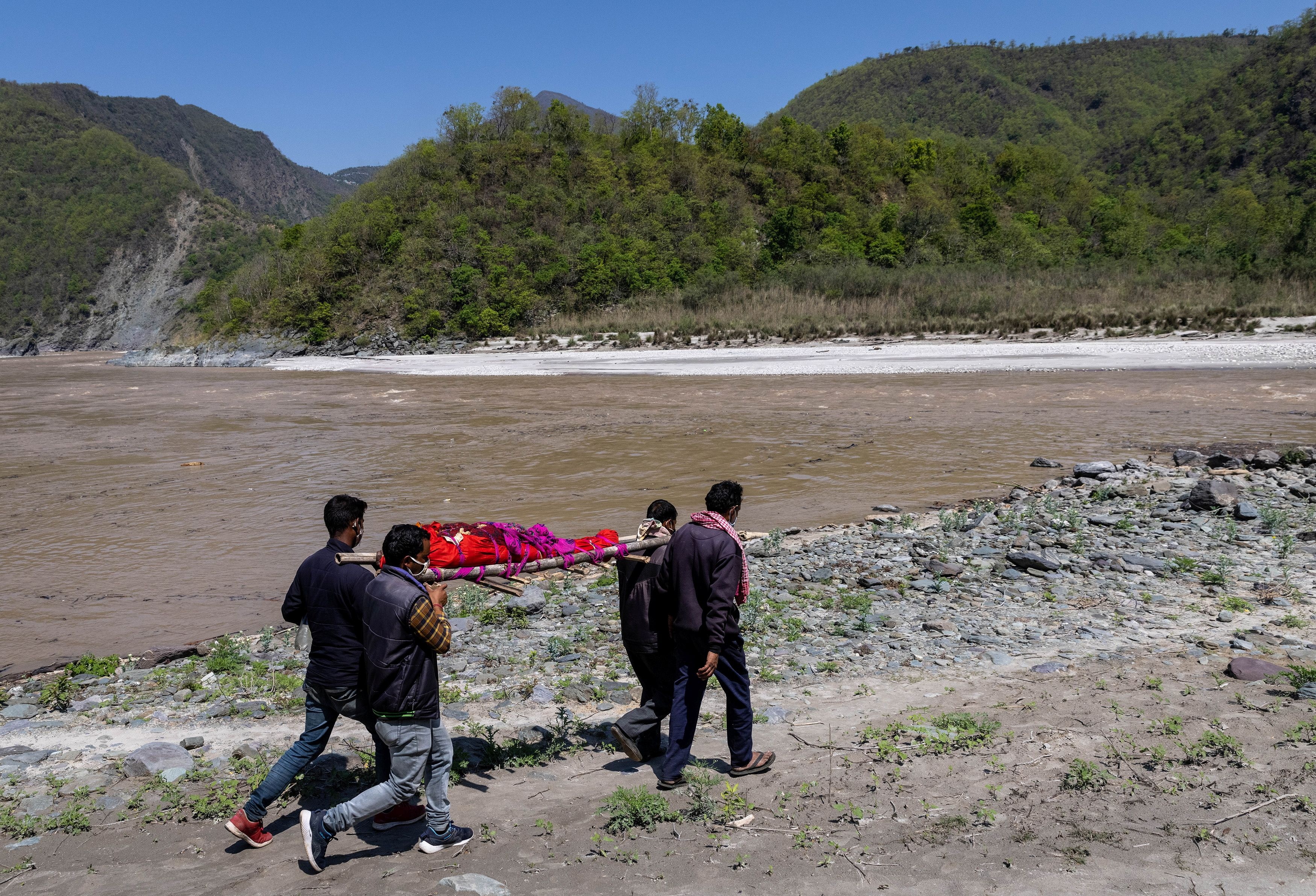 virus corona trong nuoc anh 1