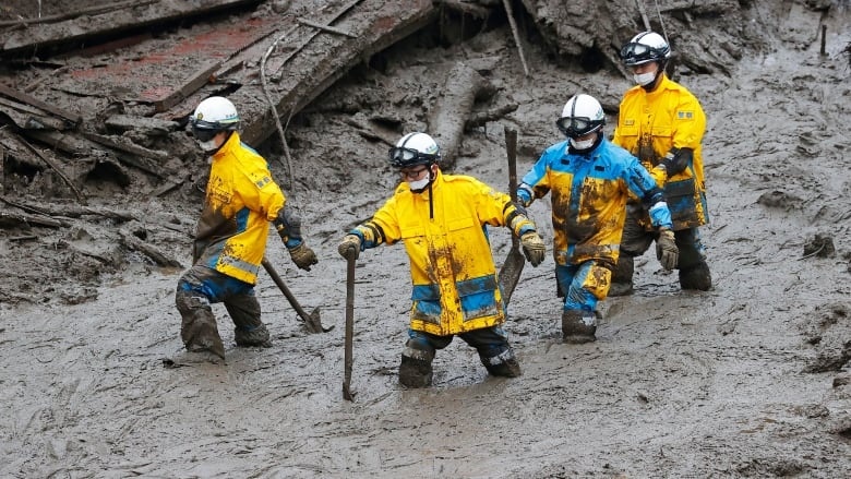 lo dat Nhat Ban anh 1