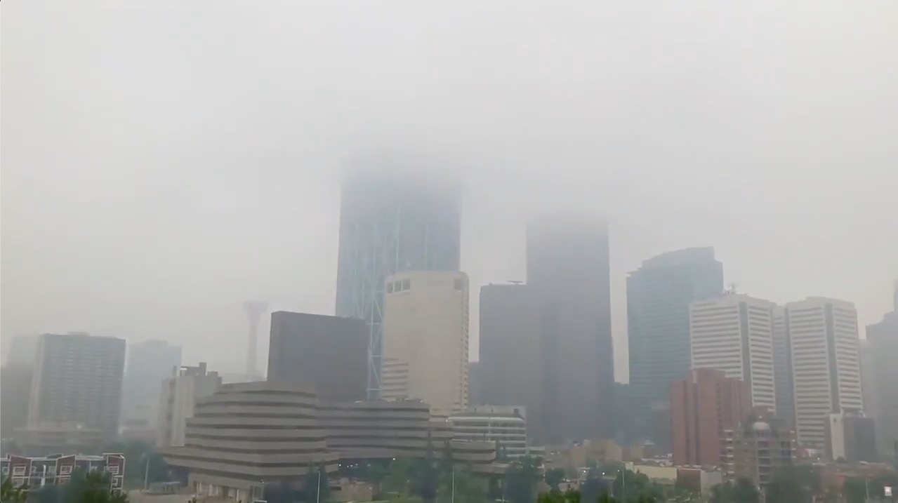 chay rung o Bac My anh 3