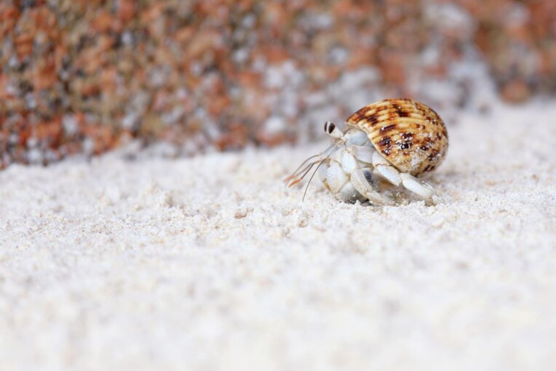 tac dong rac thai nhua anh 1