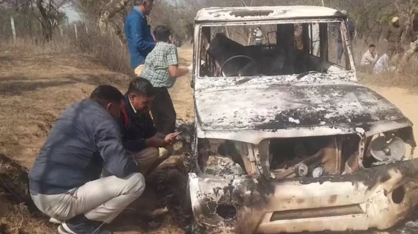 thit bo o An Do anh 1