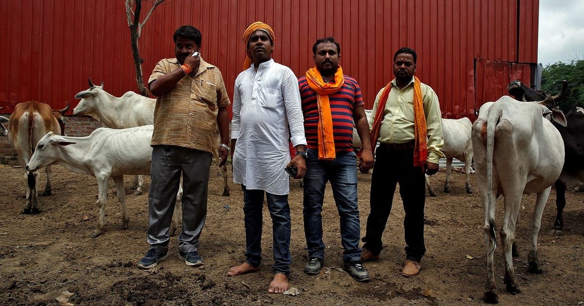 thit bo o An Do anh 2