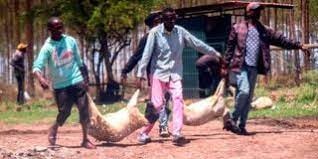 bieu tinh o Kenya anh 1