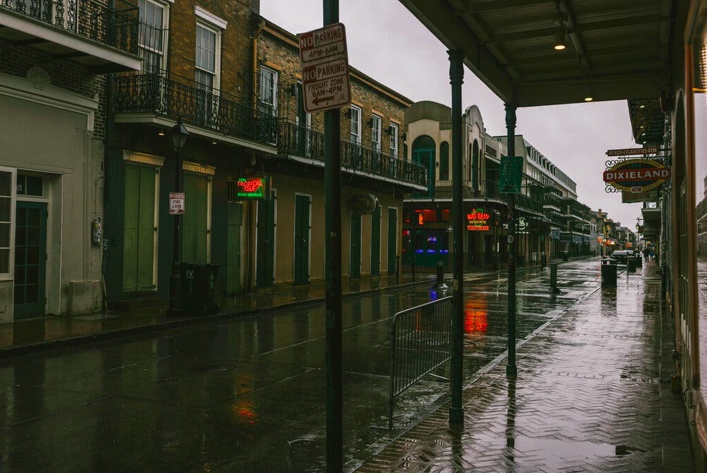 bao Francine do bo anh 1