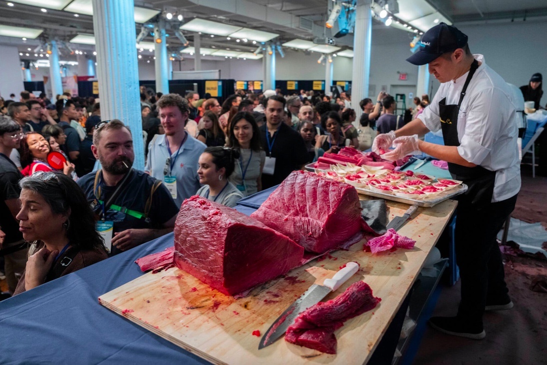 Hang nghin nguoi xep hang nem thu ca ngu vay xanh khong lo hon 180 kg hinh anh