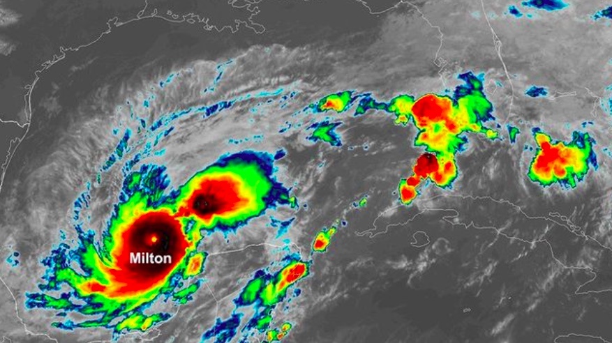 Bao Milton 'be lai' bat ngo hinh anh