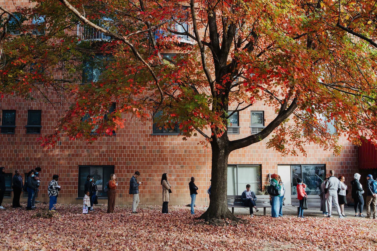 Nguoi My xep hang dai trong Ngay bau cu lich su hinh anh