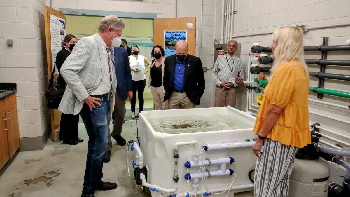 Donald Trump cat giam anh 1