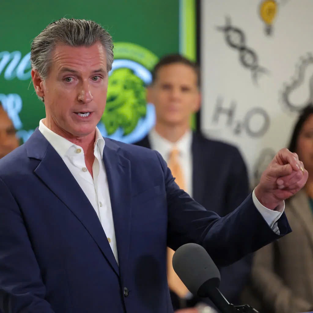 Donald Trump va Gavin Newsom anh 1