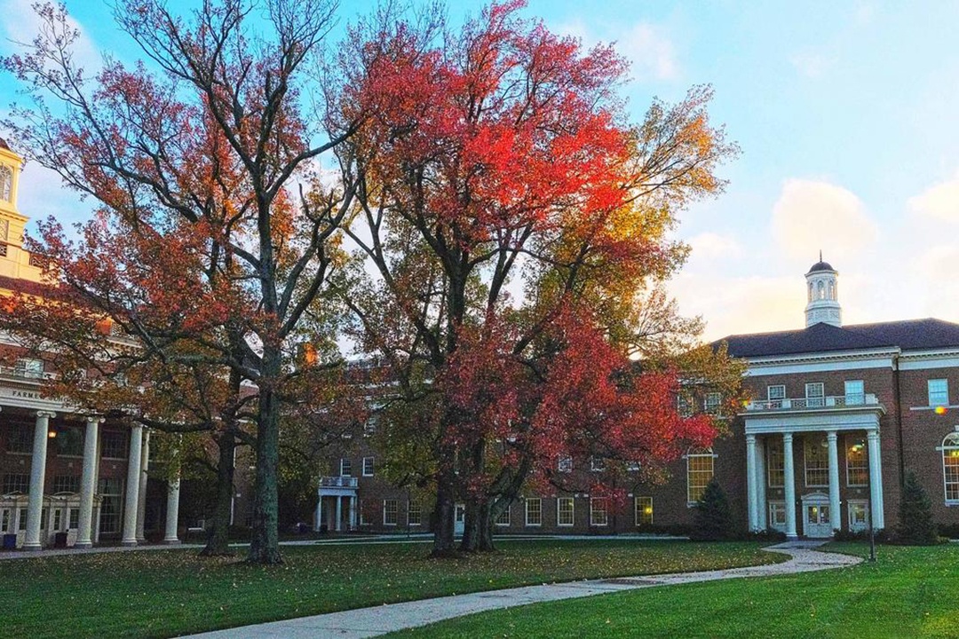 Dai hoc danh cho game thu anh 9