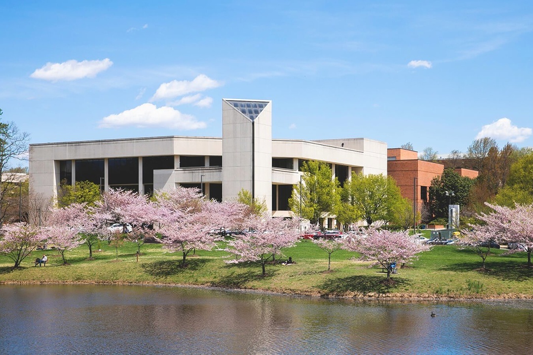 Dai hoc danh cho game thu anh 2