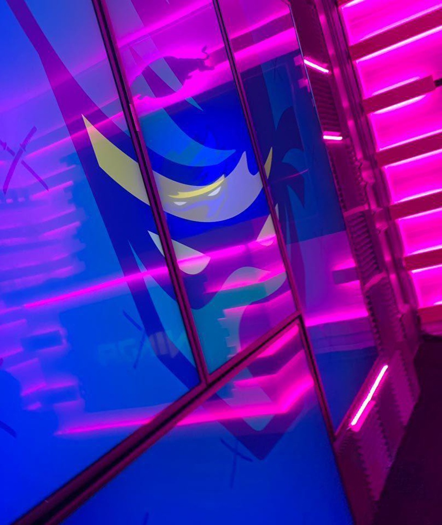 Streamer giau nhat the gioi anh 8