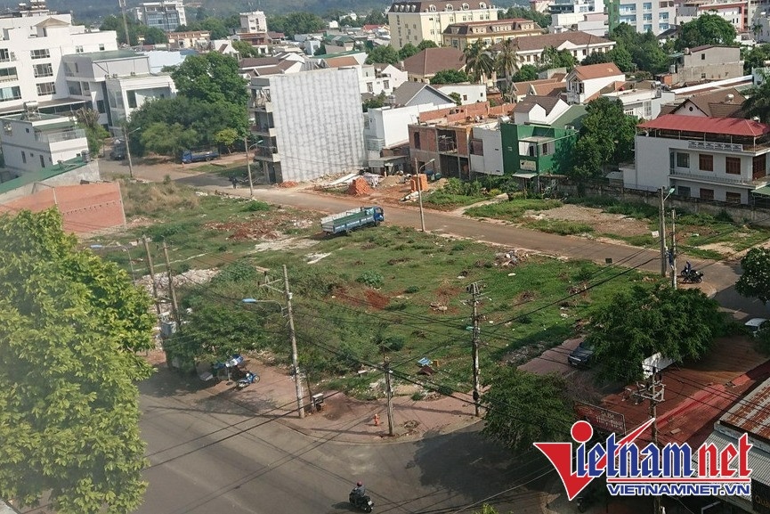 vi pham dat dai anh 1