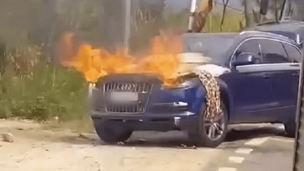 Xe Audi boc chay tren deo Mimosa hinh anh