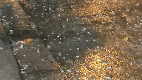 Quang Nam bat ngo xuat hien mua da hinh anh