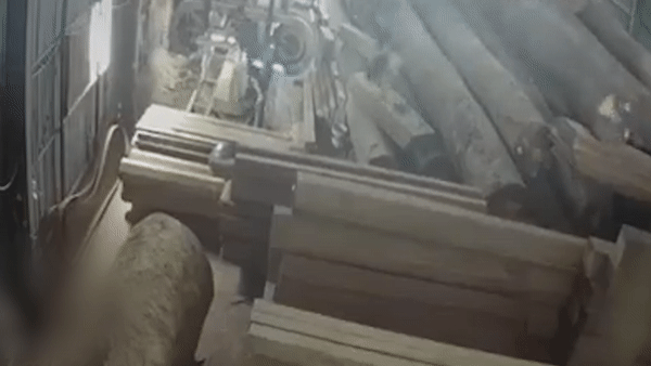 3 nguoi thoat nan khi dong go do sap xuong hinh anh