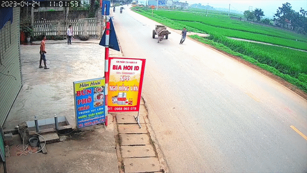 Trau dien lao ra duong, chu hoang hon duoi theo hinh anh