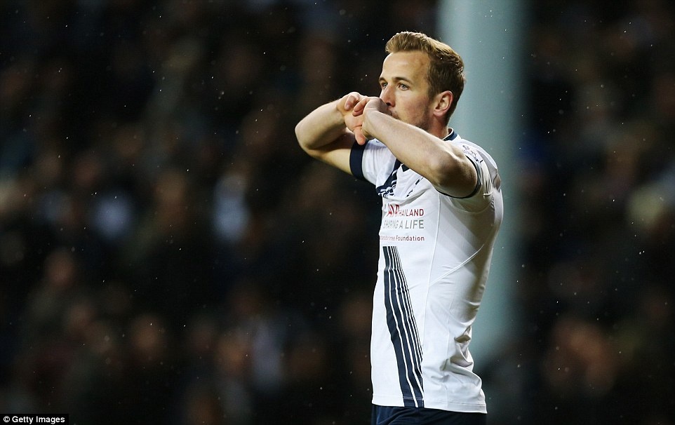 Tottenham hoa anh 11