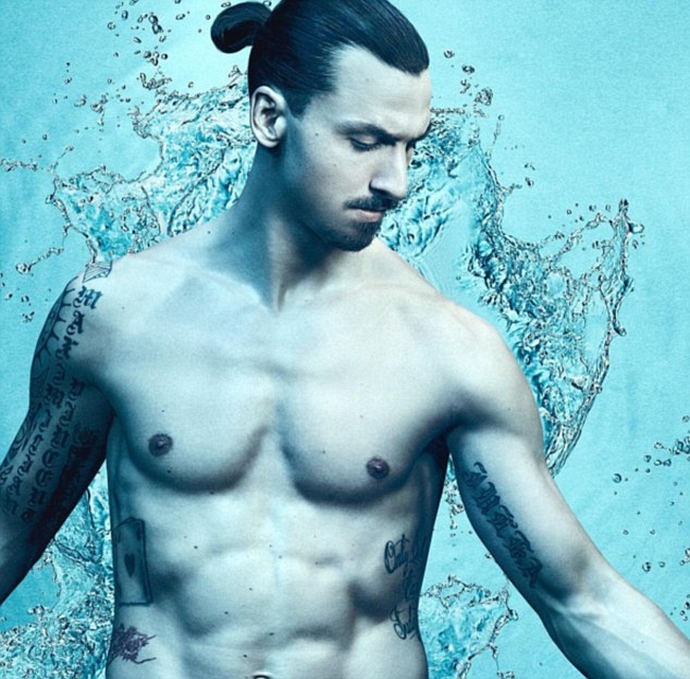 Ibrahimovic ảnh 6 Ibrahimovic anh 6