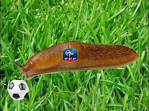 Pháp vs Đức ảnh 9 Phap vs Duc anh 9