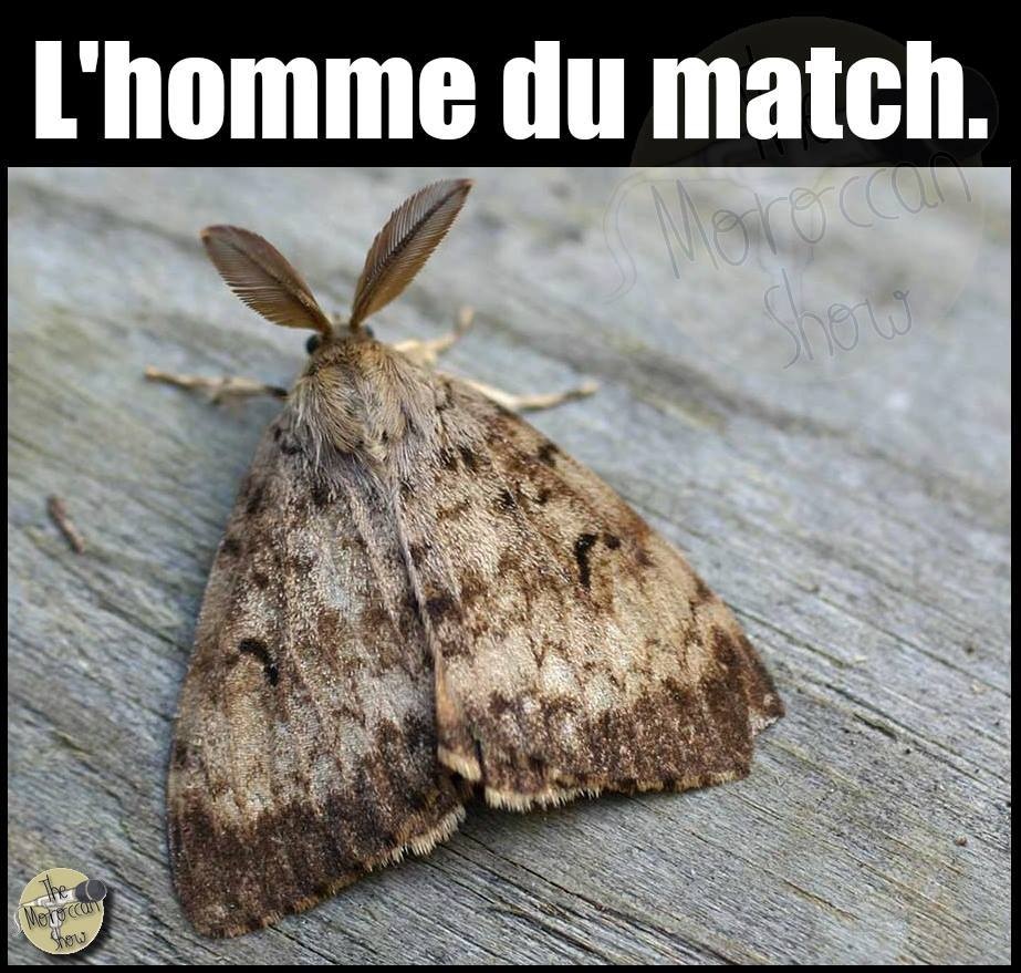 Ronaldo ảnh 6 Ronaldo anh 6