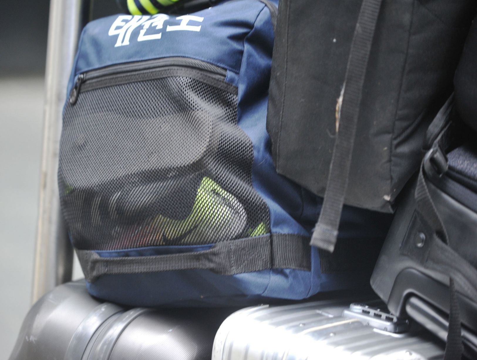 Ibrahimovic ảnh 4 Ibrahimovic anh 4