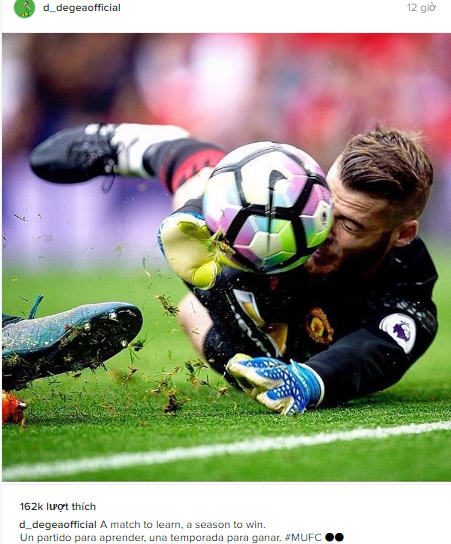 Ronaldo khoe chuot bap tay anh 5