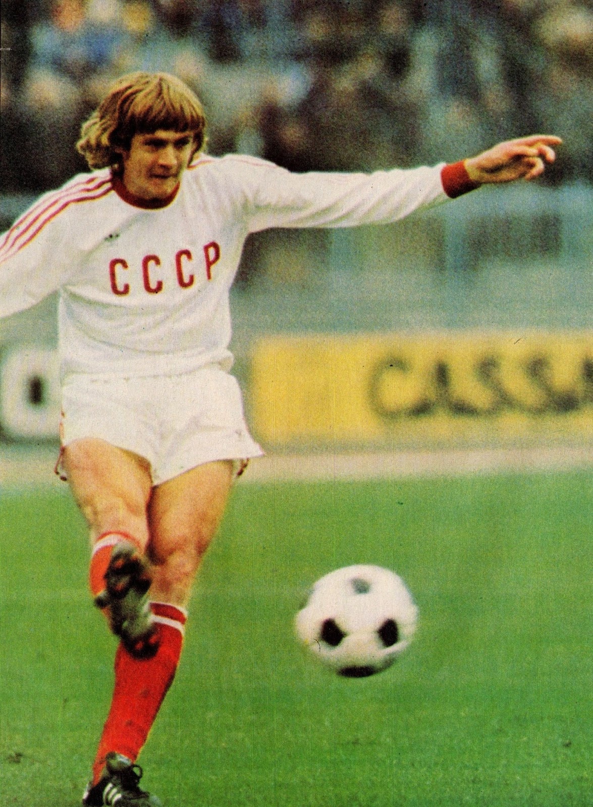 FIFA U20 World Cup anh 1