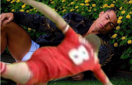 Ronaldo đăng ảnh tạo dáng bên bụi hoa ảnh 4 Ronaldo dang anh tao dang ben bui hoa anh 4