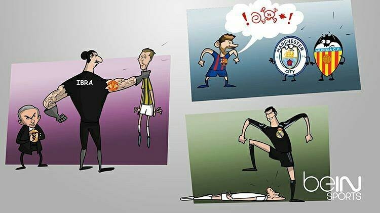 biem hoa bong da anh 13