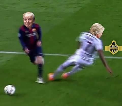 biem hoa Donald Trump anh 5