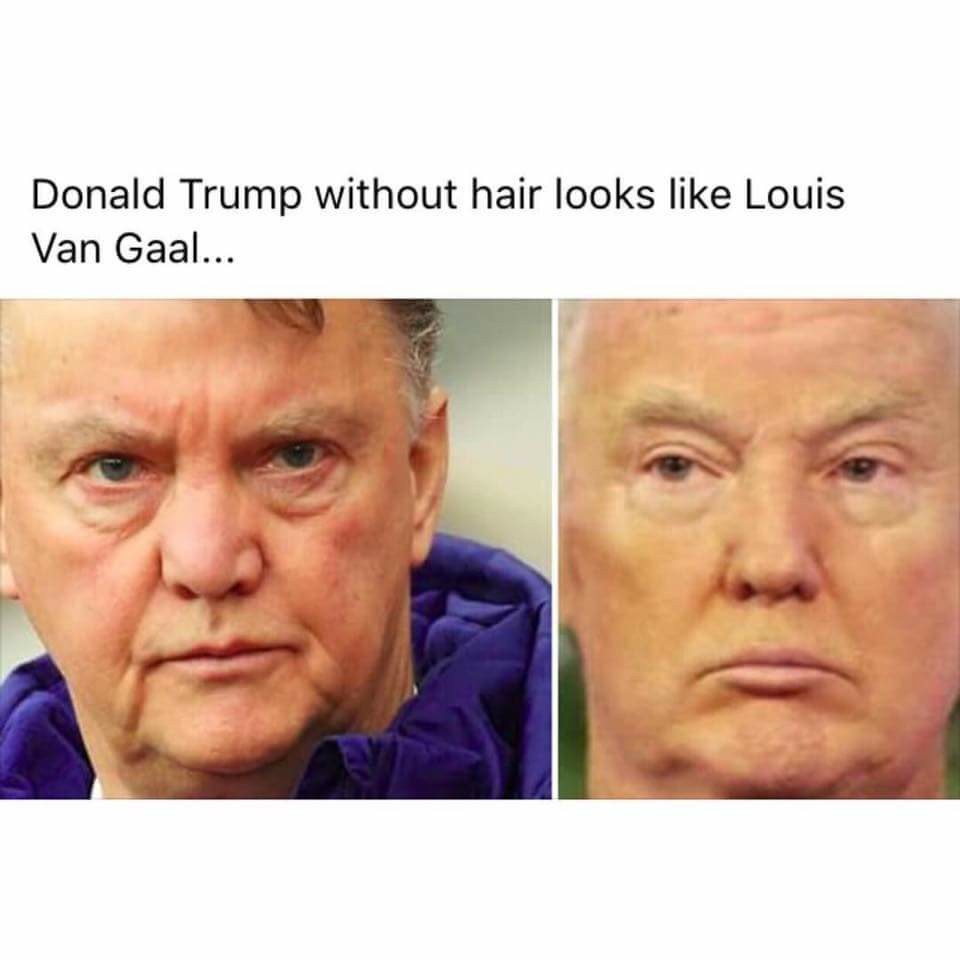 biem hoa Donald Trump anh 7