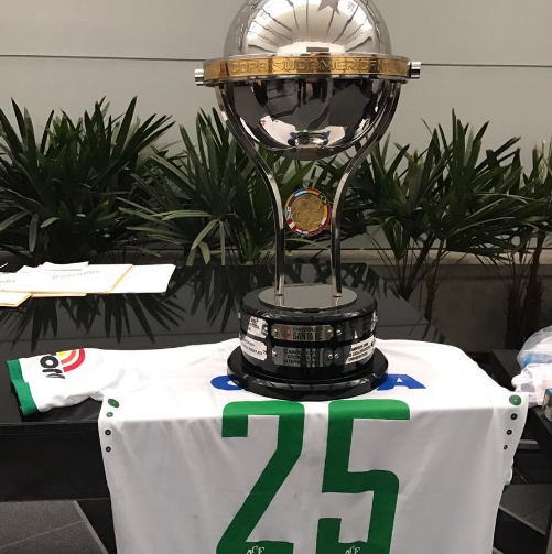 Chapecoense,  tham hoa hang khong,  Brazil,  tai nan may bay anh 1