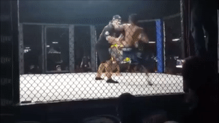 An don choang vang, vo si ‘hoa mat’ tan cong trong tai hinh anh