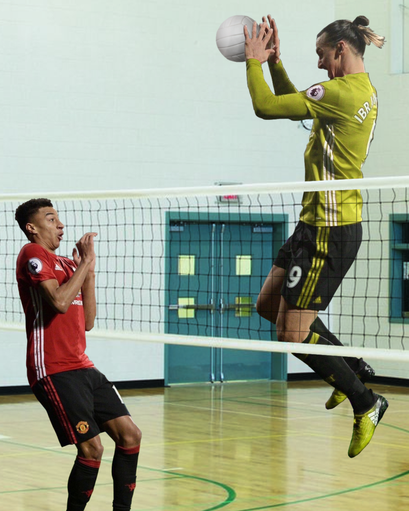 anh che Zlatan Ibrahimovic anh 10