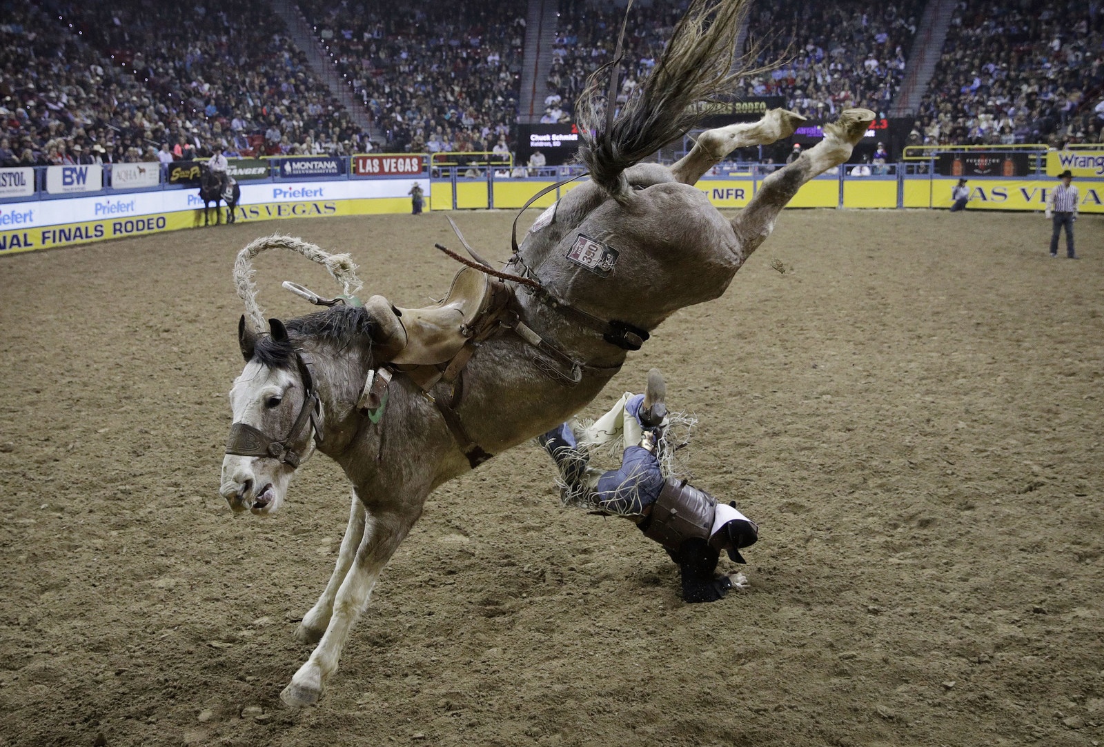 anh the thao an tuong nam 2016 anh 20