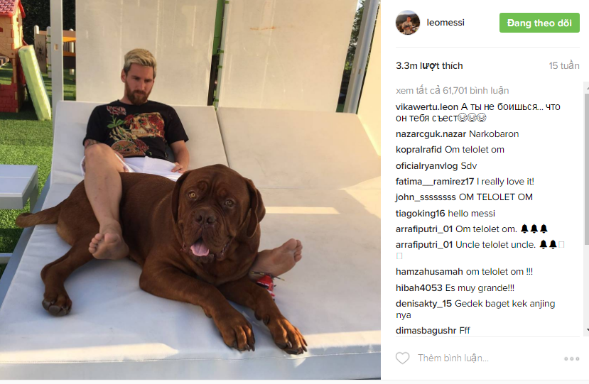 nhung buc anh hot nhat tren Instagram anh 4