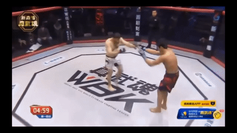 Lich su voi doi thu, vo si bi dam guc chi sau 3 giay hinh anh