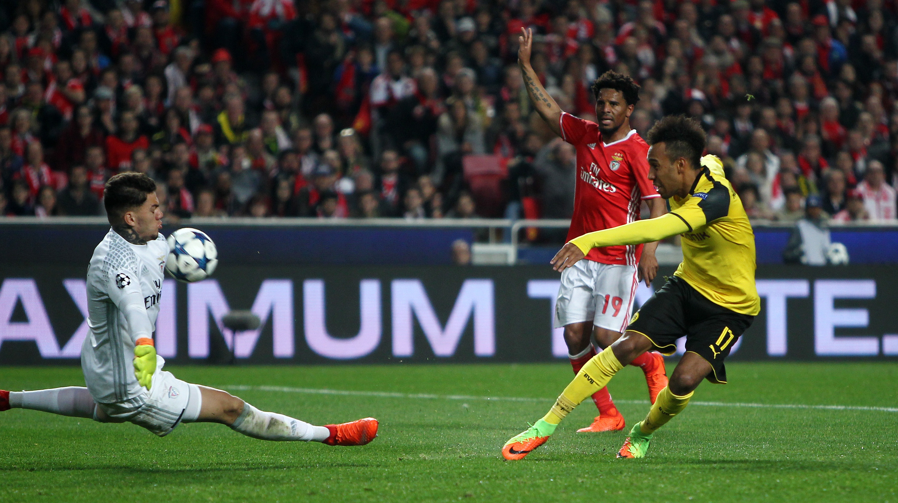 Tran Benfica vs Dortmund anh 1